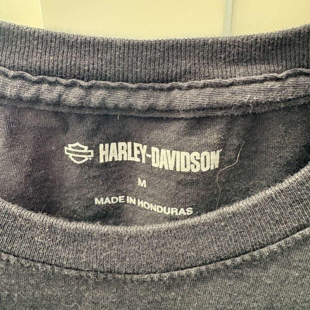 ๐๏ธ Harley-Davidsonยฎ Eagle American Original Tampa Bay, FL Dealer Black Tee Med - Picture 4 of 8